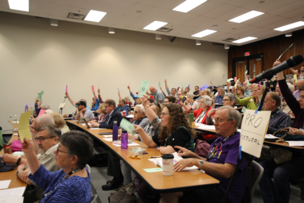 AGM voters holding up voting cards in auditoriu, AGM 2018